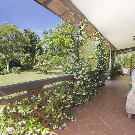Villa Monserrato - Goelba Порто Адзуро Екстериор снимка